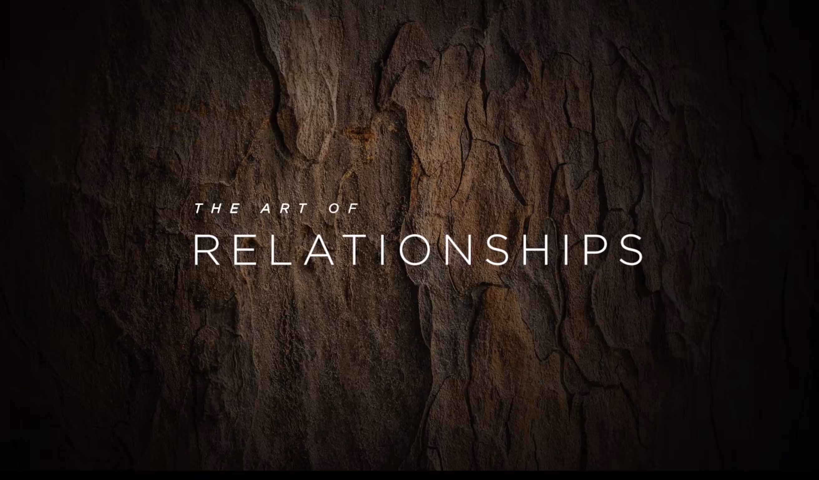 “The Art of Relationships” over a textured wood background.