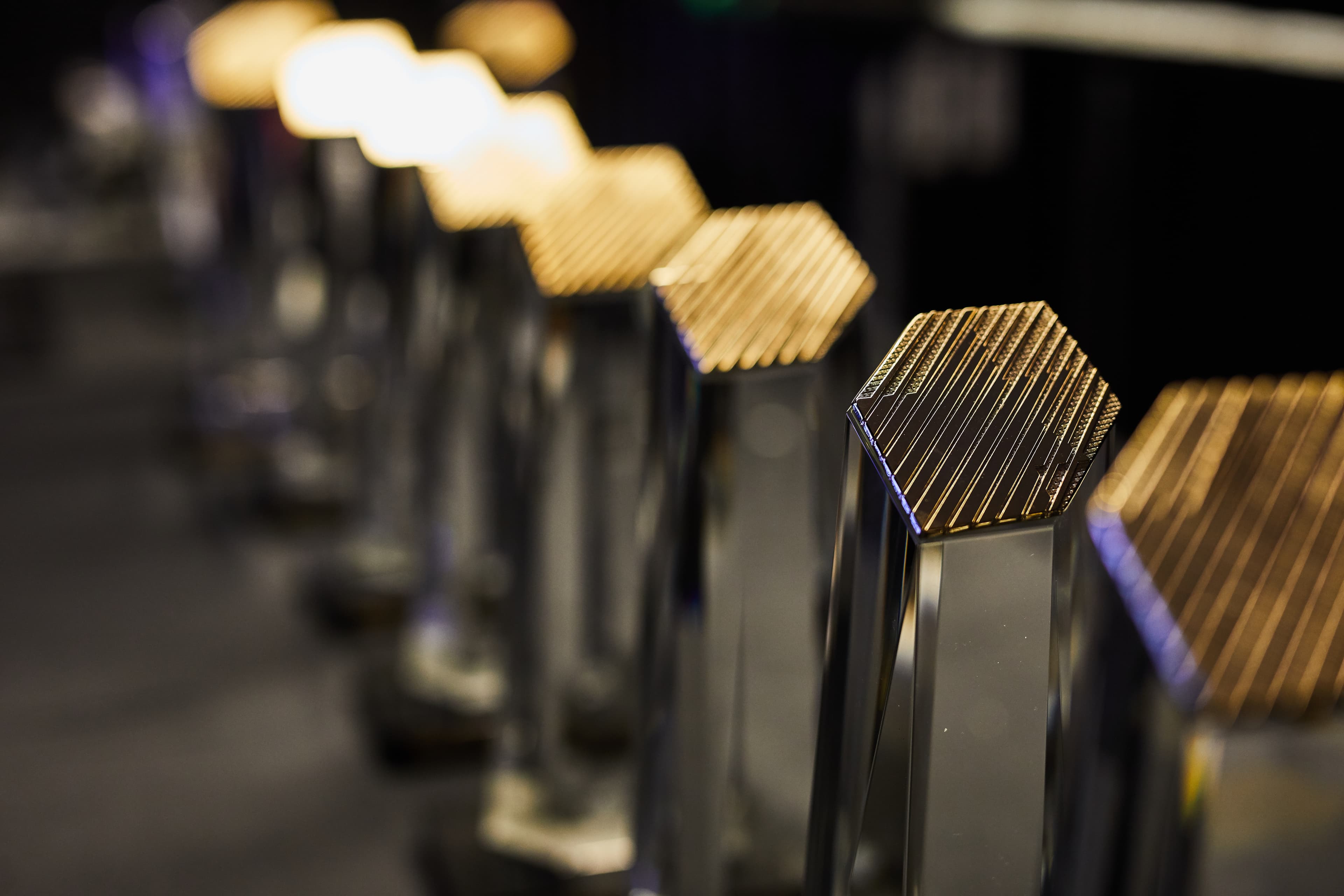 Close-up of a row of gold-topped award trophies displayed in a line.